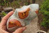 Polished Polychrome Jasper Flames x 3 From Mahajanga, Madagascar