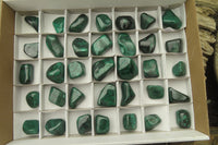 Polished Flower Banded Malachite Free Forms x 35 From Congo