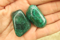 Polished Flower Banded Malachite Free Forms x 35 From Congo