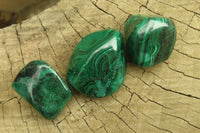 Polished Flower Banded Malachite Free Forms x 35 From Congo