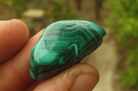 Polished Flower Banded Malachite Free Forms x 35 From Congo