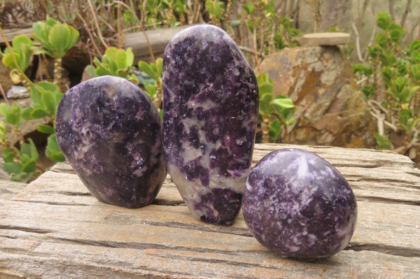 Polished Silver Leaf Lepidolite Standing Free Forms x 3 From Zimbabwe