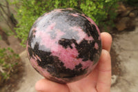 Polished Rhodonite Sphere-Ball x 2 From Ambindavato, Madagascar