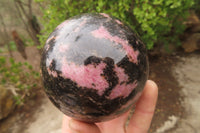 Polished Rhodonite Sphere-Ball x 2 From Ambindavato, Madagascar