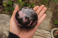 Polished Rhodonite Sphere-Ball x 2 From Ambindavato, Madagascar