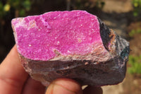 Natural Salrose Cobaltion Dolomite Specimens x 12 From Kakanda, Congo