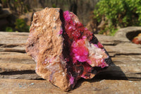 Natural Salrose Cobaltion Dolomite Specimens x 12 From Kakanda, Congo