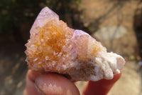 Natural Ametrine Spirit Quartz Clusters x 24 From Boekenhouthoek, South Africa