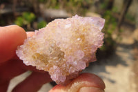 Natural Ametrine Spirit Quartz Clusters x 24 From Boekenhouthoek, South Africa