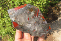 Polished Bloodstone Point-Prism x 1 From Swaziland