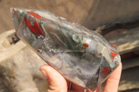 Polished Bloodstone Point-Prism x 1 From Swaziland