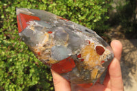 Polished Bloodstone Point-Prism x 1 From Swaziland