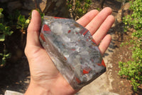 Polished Bloodstone Point-Prism x 1 From Swaziland