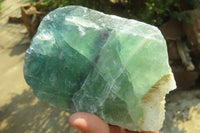 Natural Watermelon Fluorite Cobbed Specimens x 3 From Uis, Namibia