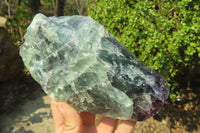 Natural Watermelon Fluorite Cobbed Specimens x 3 From Uis, Namibia