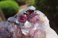 Natural Smokey Window Amethyst Crystals x 12 From Chiredzi, Zimbabwe