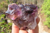 Natural Smokey Window Amethyst Crystals x 12 From Chiredzi, Zimbabwe