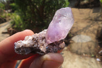 Natural Smokey Window Amethyst Crystals x 12 From Chiredzi, Zimbabwe