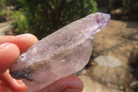 Natural Smokey Window Amethyst Crystals x 12 From Chiredzi, Zimbabwe