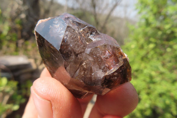 Natural Smokey Window Amethyst Crystals x 12 From Chiredzi, Zimbabwe