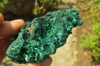 Natural Silky Malachite Specimens x 3 From Congo