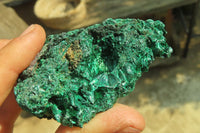 Natural Silky Malachite Specimens x 3 From Kasompe, Congo