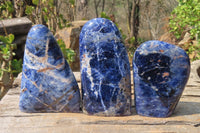 Polished Sodalite Standing Free Forms x 3 From Kunene River, Namibia