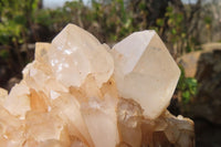 Natural Clear Quartz Cluster x 1 From Madagascar