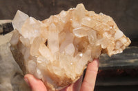 Natural Clear Quartz Cluster x 1 From Madagascar