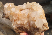 Natural Clear Quartz Cluster x 1 From Madagascar