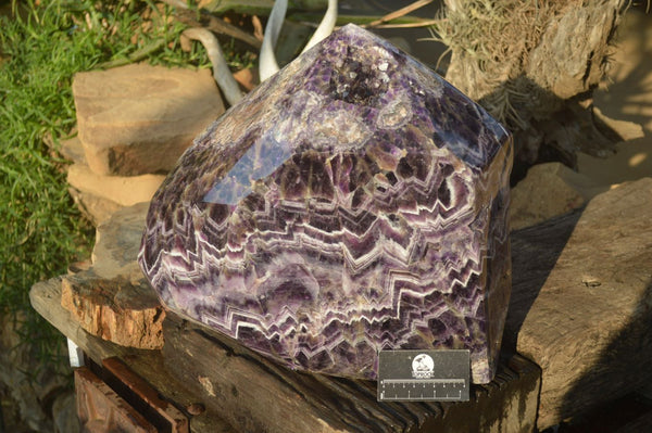 Polished XXL Chevron Flower Amethyst Crystal with Geode Vug x 1 From Zambia