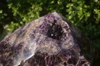 Polished Chevron Amethyst Point With Geode Vugs x 1 From Zambia