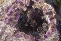 Polished Chevron Amethyst Point With Geode Vugs x 1 From Zambia