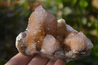 Natural Ametrine Spirit Quartz Clusters x 6 From Boekenhouthoek, South Africa