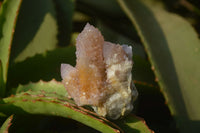 Natural Ametrine Spirit Quartz Clusters x 6 From Boekenhouthoek, South Africa