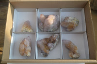 Natural Ametrine Spirit Quartz Clusters x 6 From Boekenhouthoek, South Africa