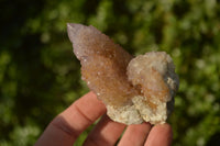 Natural Ametrine Spirit Quartz Clusters x 6 From Boekenhouthoek, South Africa