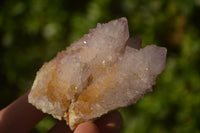 Natural Ametrine Spirit Quartz Clusters x 6 From Boekenhouthoek, South Africa