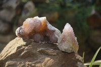 Natural Ametrine Spirit Quartz Clusters x 6 From Boekenhouthoek, South Africa