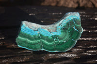 Polished Flower Banded Malachite Slices x 6 From Congo