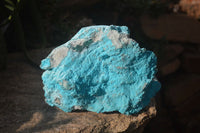 Natural Botryoidal Chrysocolla Specimen x 1 From Kulukuluku, Congo