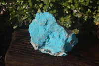 Natural Botryoidal Chrysocolla Specimen x 1 From Kulukuluku, Congo