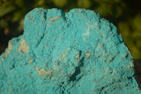 Natural Botryoidal Chrysocolla Specimen x 1 From Kulukuluku, Congo