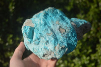 Natural Botryoidal Chrysocolla Specimen x 1 From Kulukuluku, Congo