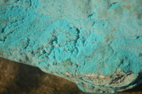 Natural Botryoidal Chrysocolla Specimen x 1 From Kulukuluku, Congo