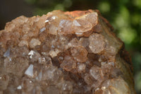 Natural Zululand Amethyst Geodes x 2 from Jozini, South Africa