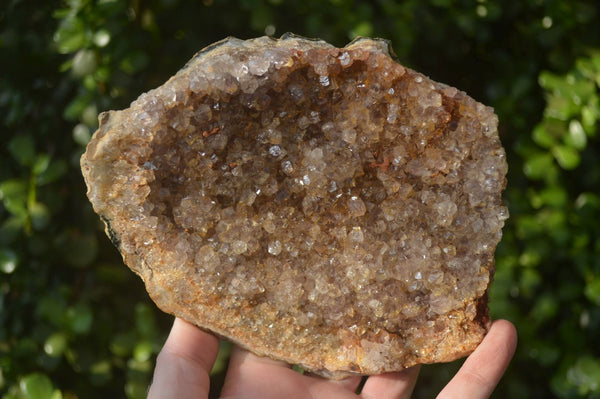 Natural Zululand Amethyst Geodes x 2 from Jozini, South Africa