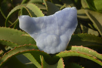 Natural Crystalline Blue Lace Agate Plates x 2 From Namibia