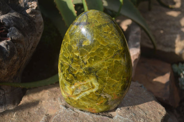 Polished Green Opal Standing Free Form x 1 From Antsirabe, Madagascar