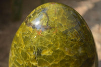 Polished Green Opal Standing Free Form x 1 From Antsirabe, Madagascar